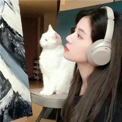 辛巴达与美人鱼公主